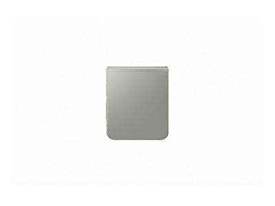 PentBrukt Galaxy Z Flip6
