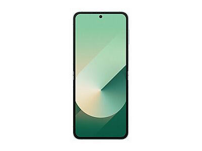 PentBrukt Galaxy Z Flip6